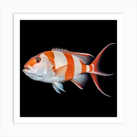 It's a vibrant fish with striking red and white stripes Art Print