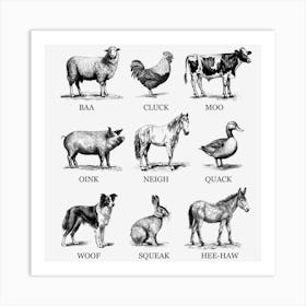 Animals Art Print