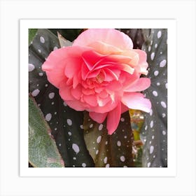 Pink Flower With Polka Dots Art Print