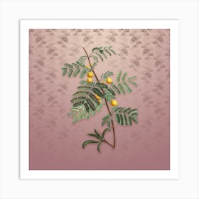 Vintage Sweet Acacia Botanical on Dusty Pink Pattern n.2484 Art Print