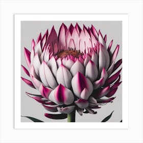 Protea myluckycharm Art Print