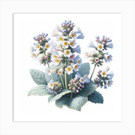 Flower of Lungwort Art Print