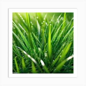 Green Grass 31 Art Print