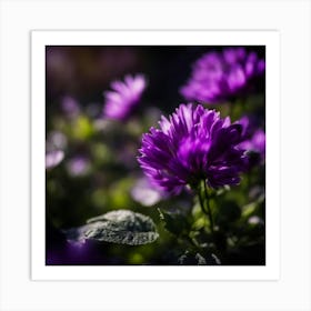 Purple Flowers Art Print