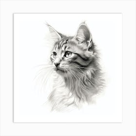 Black And White Drawing Of A Kitten Art Print