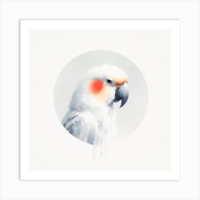 Cockatoo Canvas Print Art Print