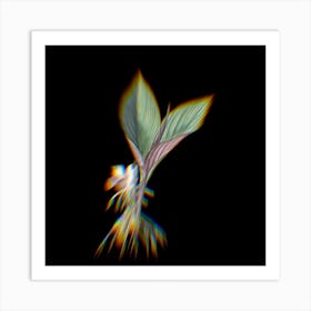 Prism Shift Koemferia Longa Botanical Illustration on Black n.0376 Art Print