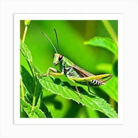 Grasshoppers Insects Jumping Green Legs Antennae Hopper Chirping Herbivores Garden Fields (4) Art Print