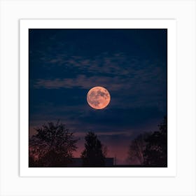 Full Moon Art Print