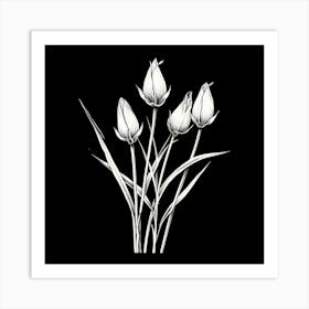 Tulips 2 Art Print