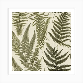 Ferns Art Print