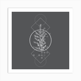 Vintage Common Juniper Botanical with Line Motif and Dot Pattern in Ghost Gray n.0168 Art Print