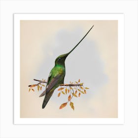 Bird Hummingbird Beak Nature Art Print