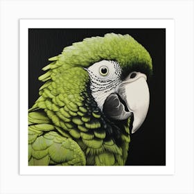 Ohara Koson Inspired Bird Painting Macaw 3 Square Art Print