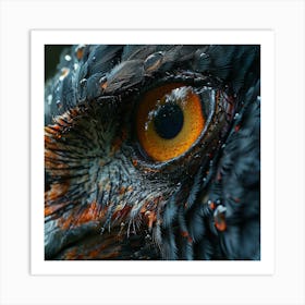 Eagle Eye Art Print