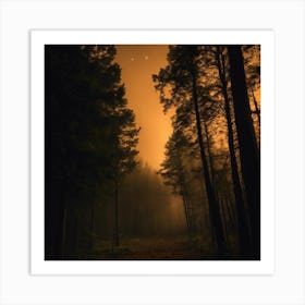 Dark Forest At Night 2 Art Print