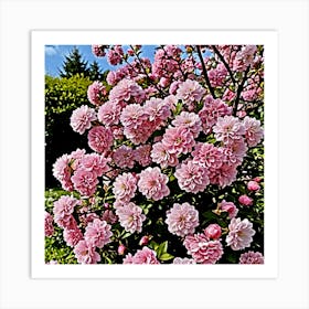 Pink Cherry Blossoms Art Print