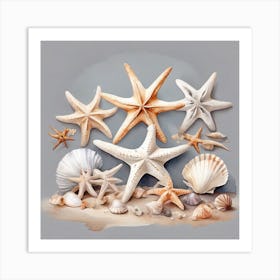 A Big Sea Stars and Shells Art Print