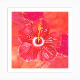Red Hibiscus Art Print