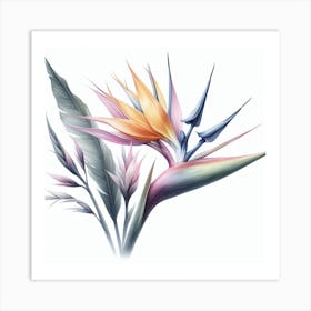 Flower of Bird of Paradise 2 Art Print