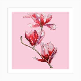 Light Pink Blossom Art Print