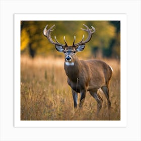 Deer In The Field Art Print