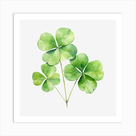 Four Leaf Clover 15 Art Print