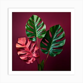 Monstera Leaves On Red Background Art Print