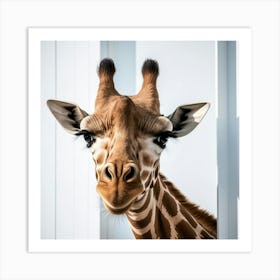 Giraffe Art Print