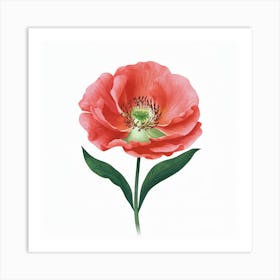 Red Poppy Art Print