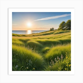 Grassy Meadow At Sunset Art Print