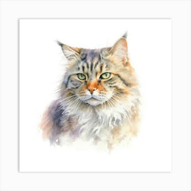 Highlander Cat Portrait 1 Art Print