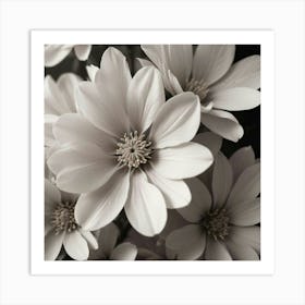 Black And White Flowers Art Print