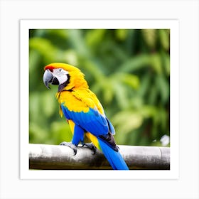 Colorful Parrot 5 Art Print