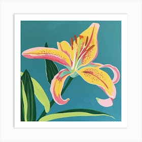 Lily 2 Square Flower Illustration Art Print