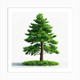 Pine Tree Art Print