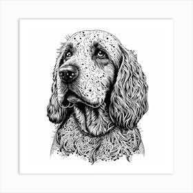 Spaniel Art Print