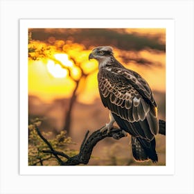 Majestic Eagle at Sunset – Nature’s Untamed Beauty Art Print