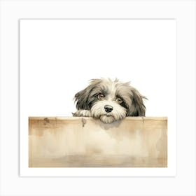 Shih Tzu Dog Art Print