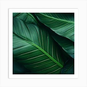 Green Leaves Background 1 Art Print