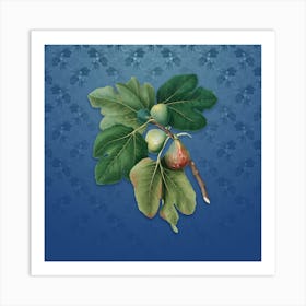 Vintage Common Fig Botanical on Bahama Blue Pattern n.2506 Art Print