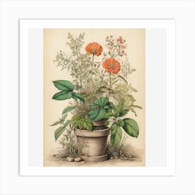 Old biological poster of plants Art Print