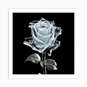 Ice Rose Art Print