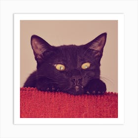 The Black Cat Square Art Print