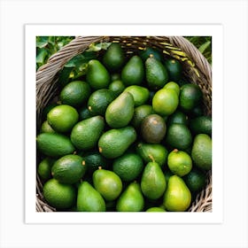 Avocados In A Basket 4 Art Print