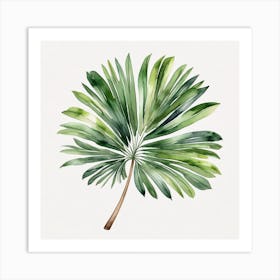 Green fan of palm leaves 6 Art Print