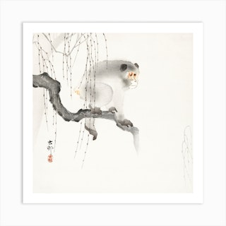 Monkey On A Tree Branch, Ohara Koson Vintage Japanese Art Print