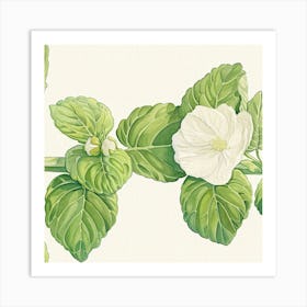 Hibiscus Art Print