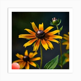 Rudbeckia Flower Art Print