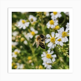 Bee On A Flower Art Print